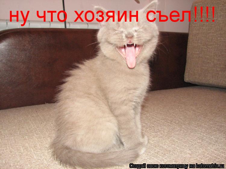 ну что хозяин съел!!!!... Котоматрица: ну что хозяин съел!!!!
