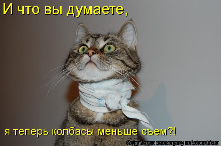 И что вы думаете, я теперь колбасы меньше съем?!... Котоматрица: И что вы думаете, я теперь колбасы меньше съем?!