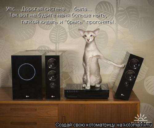 Упс....Дорогая система ... была... Так вот не будите меня больше мыть, тапкой кидать и "брысь" прого... Котоматрица: Упс....Дорогая система ... была... Так вот не будите меня больше мыть, тапкой кидать и "брысь" прогонять!.