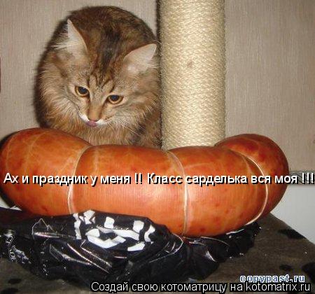 Ах и праздник у меня !! Класс сарделька вся моя !!!!... Котоматрица: Ах и праздник у меня !! Класс сарделька вся моя !!!!