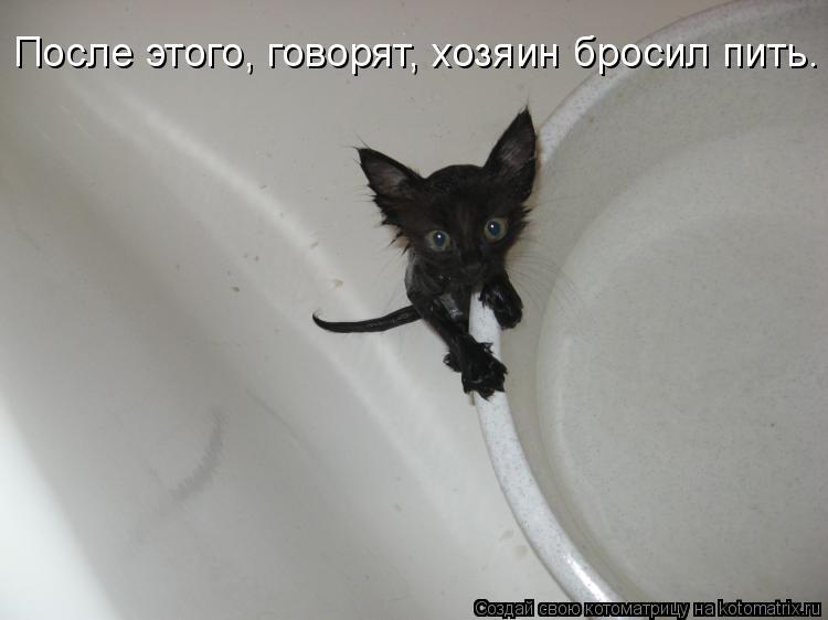 После этого, говорят, хозяин бросил пить.... Котоматрица: После этого, говорят, хозяин бросил пить.