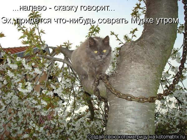 ...налево - сказку говорит... Эх, придётся что-нибудь соврать Мурке утром.... Котоматрица: ...налево - сказку говорит... Эх, придётся что-нибудь соврать Мурке утром.