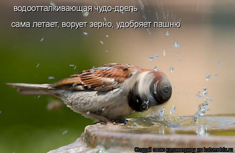 водоотталкивающая чудо-дрель сама летает, ворует зерно, удобряет пашню... Котоматрица: водоотталкивающая чудо-дрель сама летает, ворует зерно, удобряет пашню