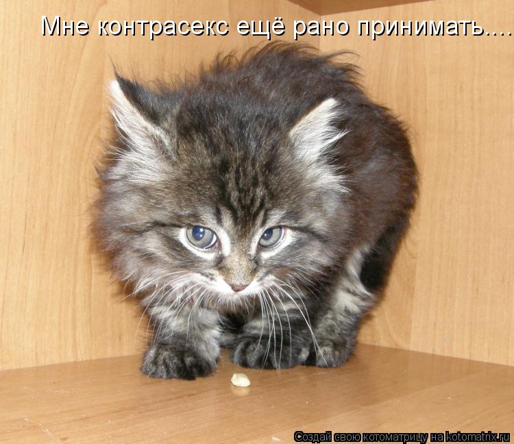 Мне контрасекс ещё рано принимать....... Котоматрица: Мне контрасекс ещё рано принимать....