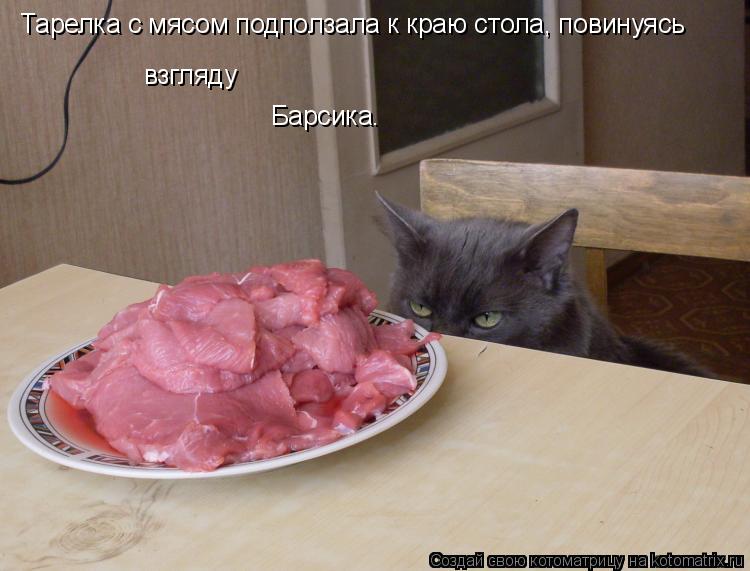 Тарелка с мясом подползала к краю стола, повинуясь взгляду Барсика.... Котоматрица: Тарелка с мясом подползала к краю стола, повинуясь взгляду Барсика.
