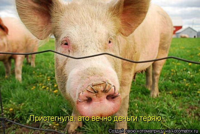 Пристегнула, ато вечно деньги теряю...... Котоматрица: Пристегнула, ато вечно деньги теряю...