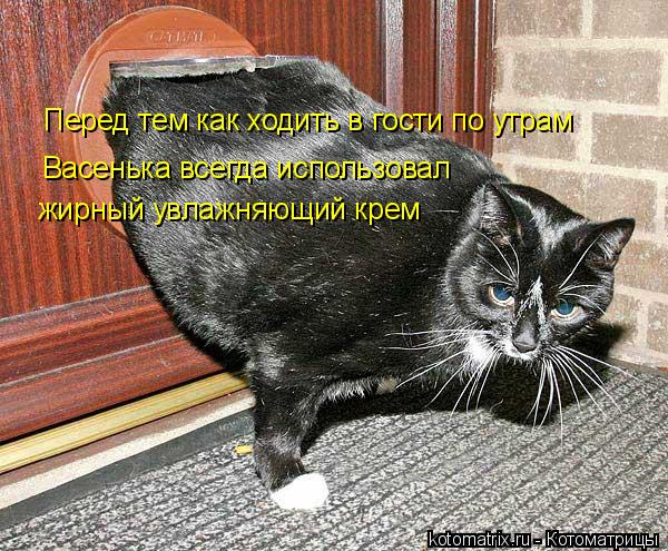 Перед тем как ходить в гости по утрам Васенька всегда использовал жирный увлажняющий крем... Котоматрица: Перед тем как ходить в гости по утрам Васенька всегда использовал жирный увлажняющий крем