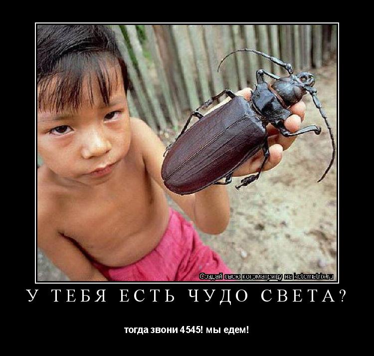 У тебя есть чудо света? тогда звони 4545! мы едем!... Котоматрица: У тебя есть чудо света? тогда звони 4545! мы едем!