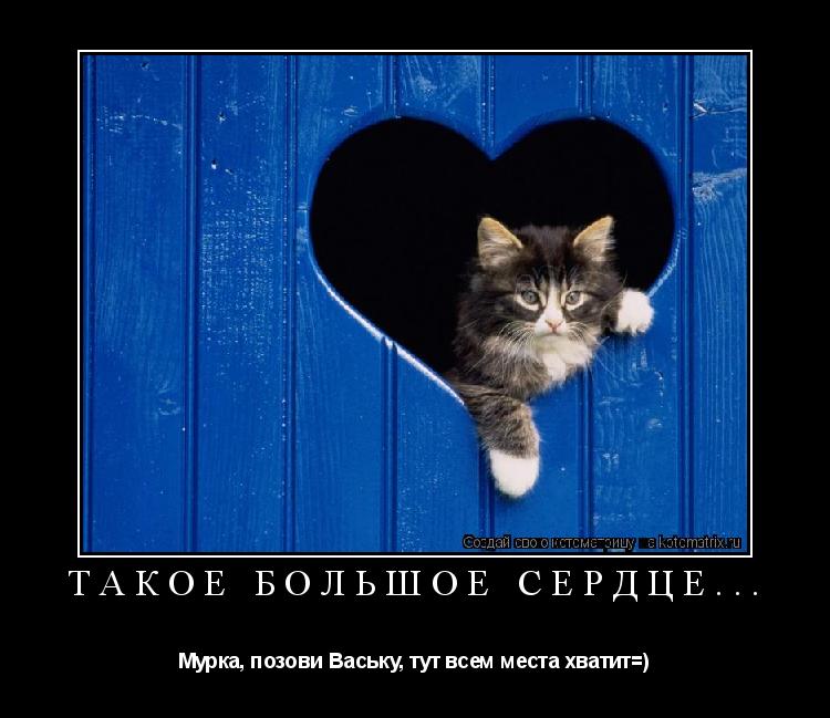 ТАКОЕ БОЛЬШОЕ СЕРДЦЕ... Мурка, позови Ваську, тут всем места хватит=)... Котоматрица: ТАКОЕ БОЛЬШОЕ СЕРДЦЕ... Мурка, позови Ваську, тут всем места хватит=)