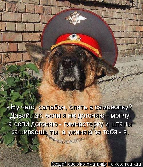 - Ну чего, салабон, опять в самоволку? Давай так: если я не догоняю - молчу, а если догоняю - гимнаст... Котоматрица: - Ну чего, салабон, опять в самоволку? Давай так: если я не догоняю - молчу, а если догоняю - гимнастерку и штаны зашиваешь ты, а ужинаю за тебя -