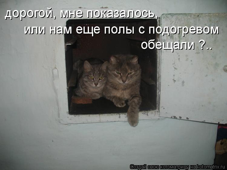 дорогой, мне показалось, или нам еще полы с подогревом обещали ?..... Котоматрица: дорогой, мне показалось, или нам еще полы с подогревом обещали ?..