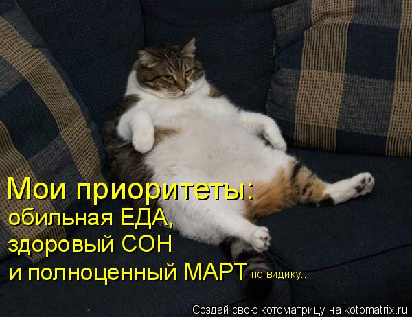обильная ЕДА, здоровый СОН и полноценный МАРТ Мои приоритеты: по видику...... Котоматрица: обильная ЕДА, здоровый СОН и полноценный МАРТ Мои приоритеты: по видику...