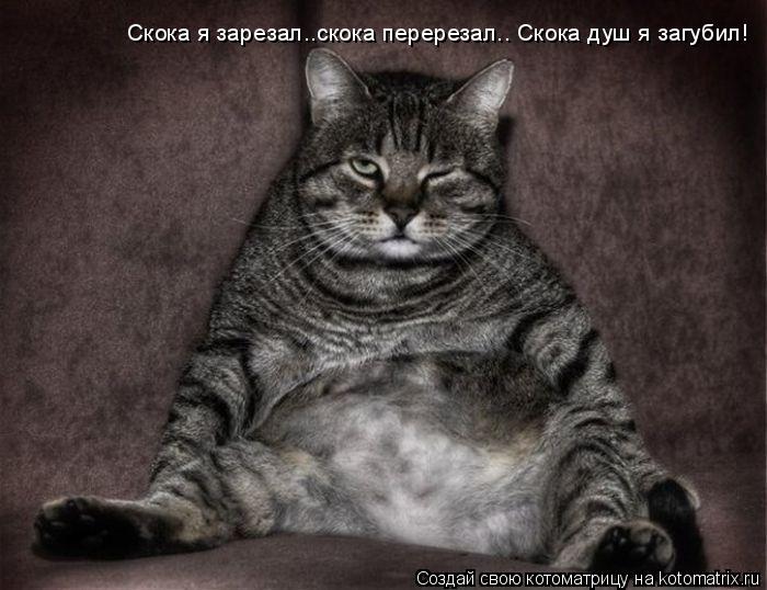 Скока я зарезал..скока перерезал.. Скока душ я загубил! Скока я зарезал..скока перереза... Котоматрица: Скока я зарезал..скока перерезал.. Скока душ я загубил! Скока я зарезал..скока перерезал.. Скока душ я загубил!