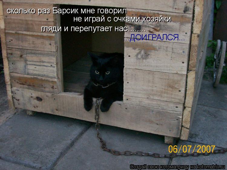 сколько раз Барсик мне говорил не играй с очками хозяйки гляди и перепутает нас ....... ...ДОИГРАЛСЯ.... Котоматрица: сколько раз Барсик мне говорил не играй с очками хозяйки гляди и перепутает нас ....... ...ДОИГРАЛСЯ...