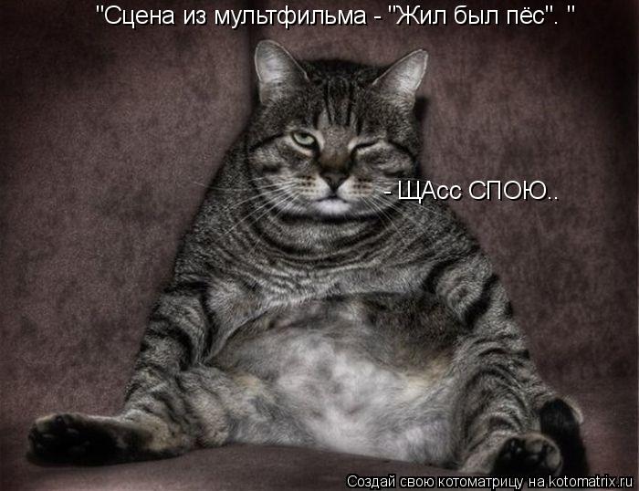 "Сцена из мультфильма - "Жил был пёс". " - ЩАсс СПОЮ..... Котоматрица: "Сцена из мультфильма - "Жил был пёс". " - ЩАсс СПОЮ..