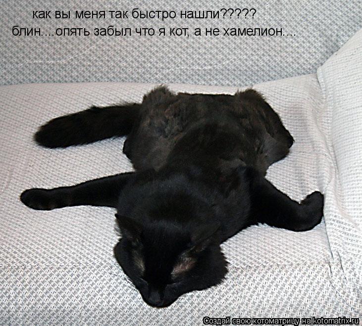как вы меня так быстро нашли????? блин....опять забыл что я кот, а не хамелион....... Котоматрица: как вы меня так быстро нашли????? блин....опять забыл что я кот, а не хамелион....