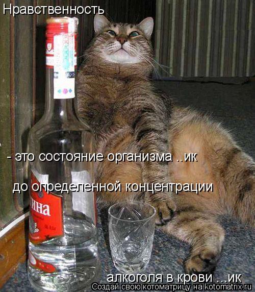 Нравственность - это состояние организма ..ик до определенной концентрации алкоголя в крови ...ик... Котоматрица: Нравственность - это состояние организма ..ик до определенной концентрации алкоголя в крови ...ик