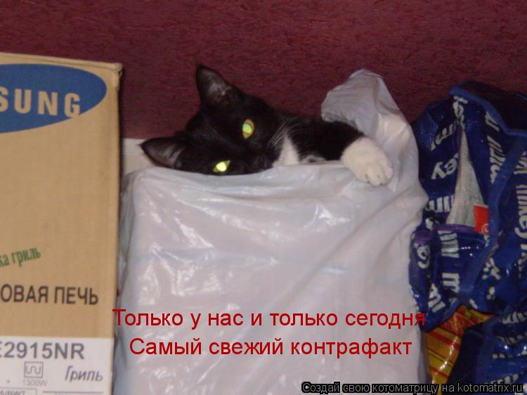 Самый свежий контрафакт Только у нас и только сегодня... Котоматрица: Самый свежий контрафакт Только у нас и только сегодня
