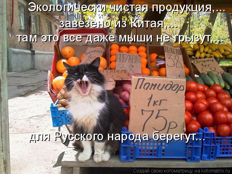 Котоматрица: завезено из Китая,... Экологически чистая продукция,... там это все даже мыши не грызут,... для Русского народа берегут…..