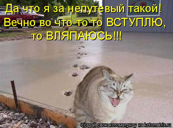 Да что я за непутевый такой! Вечно во что-то то ВСТУПЛЮ, то ВЛЯПАЮСЬ!!!... Котоматрица: Да что я за непутевый такой! Вечно во что-то то ВСТУПЛЮ, то ВЛЯПАЮСЬ!!!