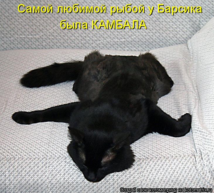 Самой любимой рыбой у Барсика была КАМБАЛА... Котоматрица: Самой любимой рыбой у Барсика была КАМБАЛА