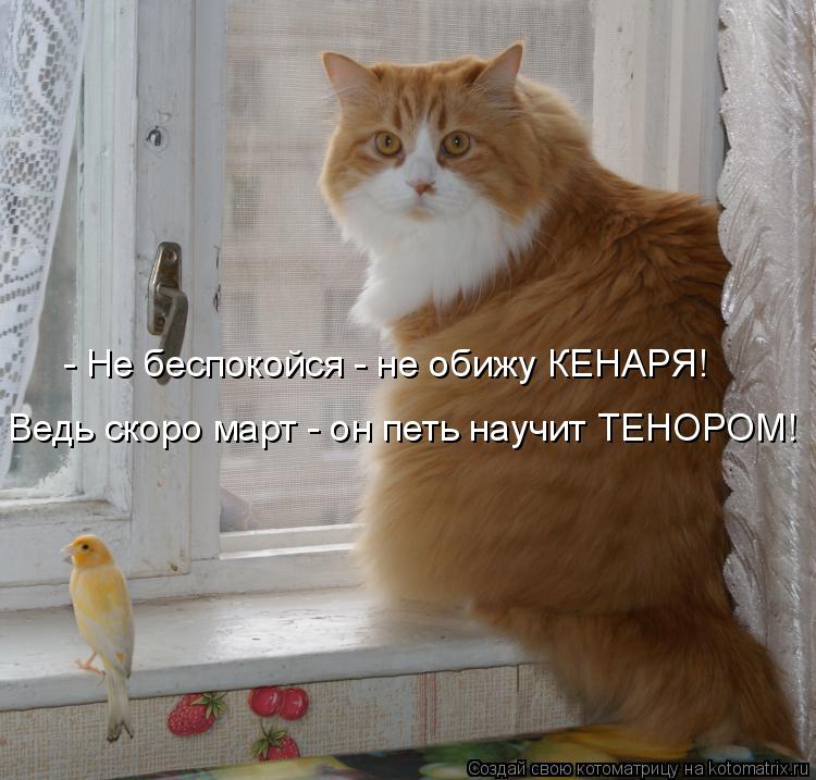- Не беспокойся - не обижу КЕНАРЯ! Ведь скоро март - он петь научит ТЕНОРОМ!... Котоматрица: - Не беспокойся - не обижу КЕНАРЯ! Ведь скоро март - он петь научит ТЕНОРОМ!