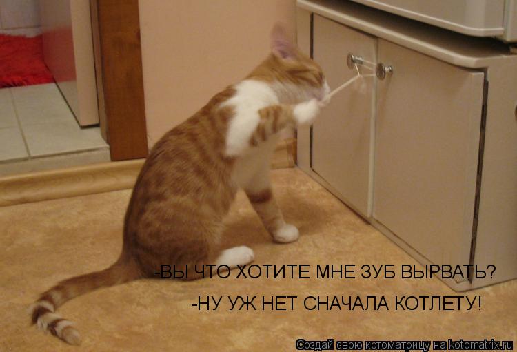 -НУ УЖ НЕТ СНАЧАЛА КОТЛЕТУ! -ВЫ ЧТО ХОТИТЕ МНЕ ЗУБ ВЫРВАТЬ?... Котоматрица: -НУ УЖ НЕТ СНАЧАЛА КОТЛЕТУ! -ВЫ ЧТО ХОТИТЕ МНЕ ЗУБ ВЫРВАТЬ?