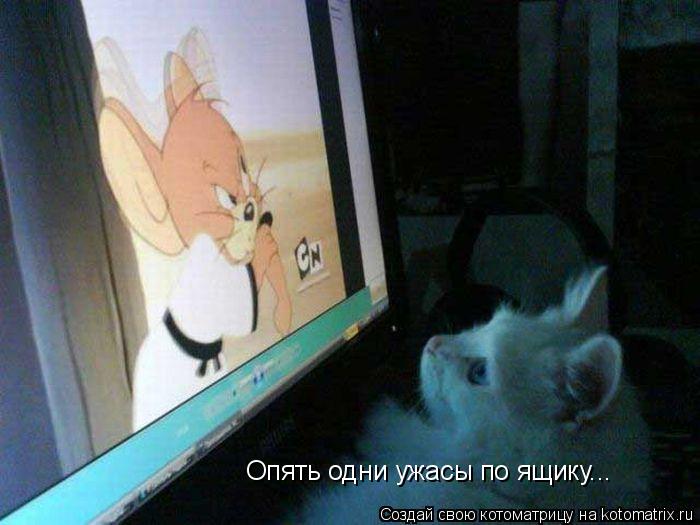 Котоматрица: Опять одни ужасы по ящику...