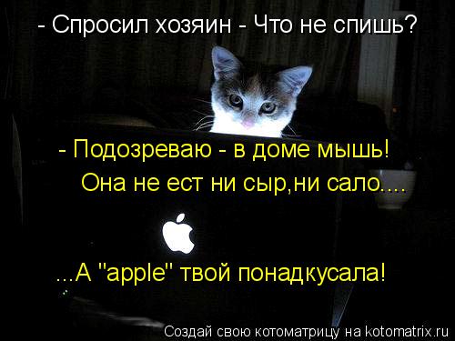 Красивые клички для собак девочек, имя для собаки Красивые девушки. Фото самых красивых девушек мира