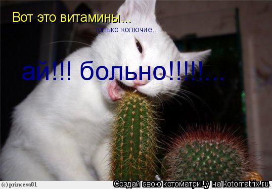 Вот это витамины... только колючие... ай!!! больно!!!!!...... Котоматрица: Вот это витамины... только колючие... ай!!! больно!!!!!...