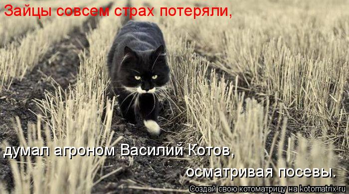Зайцы совсем страх потеряли, думал агроном Василий Котов, осматривая посевы.... Котоматрица: Зайцы совсем страх потеряли, думал агроном Василий Котов, осматривая посевы.