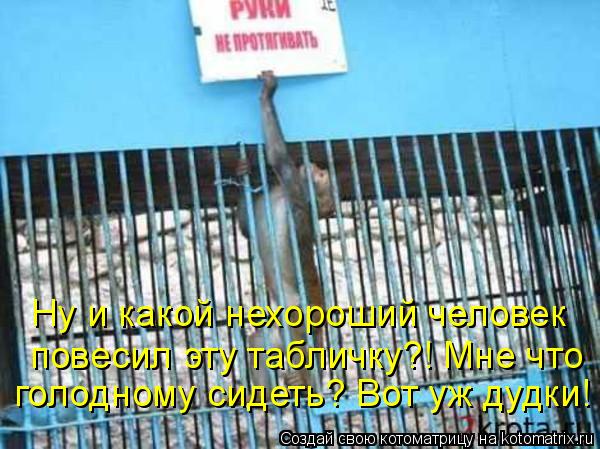 Котоматрица: Ну и какой нехороший человек  повесил эту табличку?! Мне что  голодному сидеть? Вот уж дудки!