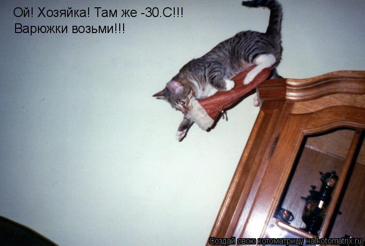 Ой! Хозяйка! Там же -30°C!!! Варюжки возьми!!!... Котоматрица: Ой! Хозяйка! Там же -30°C!!! Варюжки возьми!!!