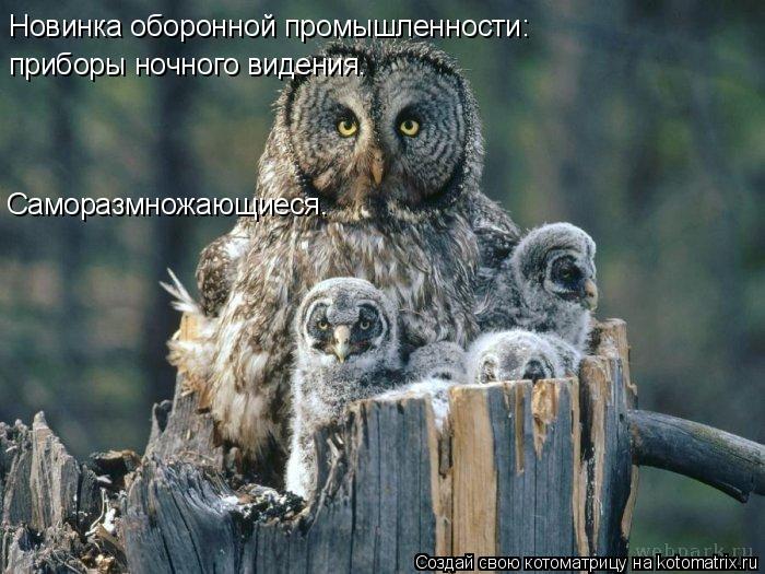 Котоматрица: Новинка оборонной промышленности: приборы ночного видения. Саморазмножающиеся.