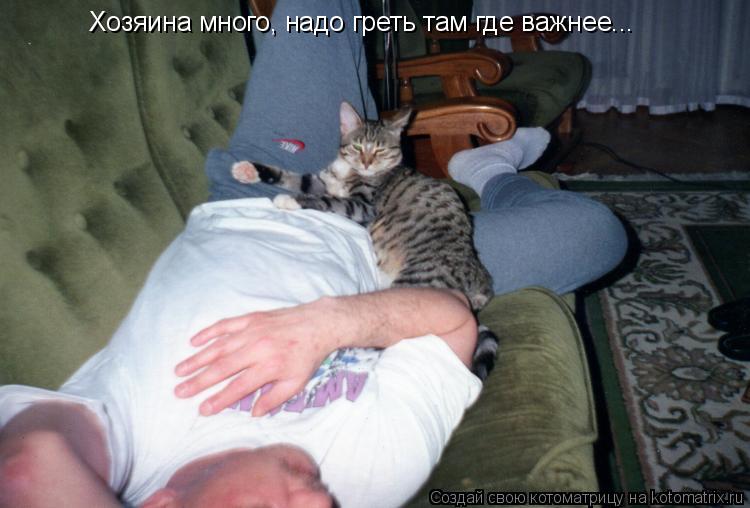 Хозяина много, надо греть там где важнее...... Котоматрица: Хозяина много, надо греть там где важнее...