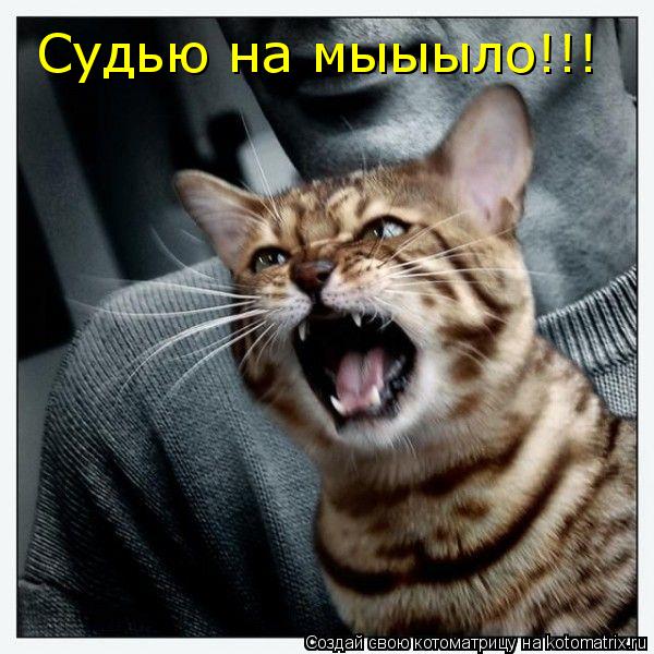 Судью на мыыыло!!!... Котоматрица: Судью на мыыыло!!!