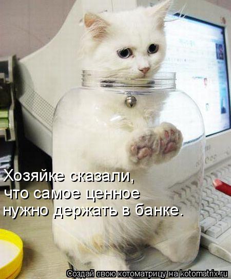 Хозяйке сказали, что самое ценное нужно держать в банке.... Котоматрица: Хозяйке сказали, что самое ценное нужно держать в банке.