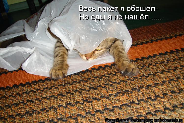 Весь пакет я обошёл- Но еды я не нашёл......... Котоматрица: Весь пакет я обошёл- Но еды я не нашёл......