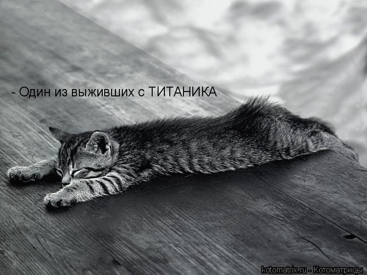 - Один из выживших с ТИТАНИКА... Котоматрица: - Один из выживших с ТИТАНИКА