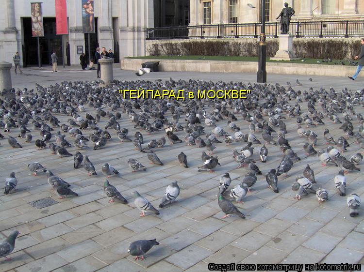 "ГЕЙПАРАД в МОСКВЕ"... Котоматрица: "ГЕЙПАРАД в МОСКВЕ"