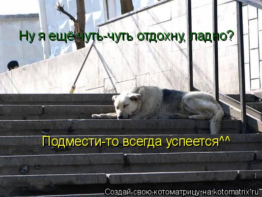 Ну я ещё чуть-чуть отдохну, ладно? Подмести-то всегда успеется^^... Котоматрица: Ну я ещё чуть-чуть отдохну, ладно? Подмести-то всегда успеется^^