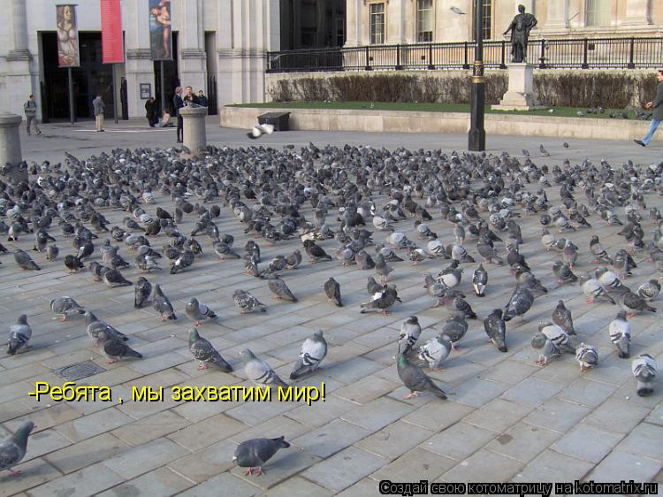 -Ребята , мы захватим мир!... Котоматрица: -Ребята , мы захватим мир!
