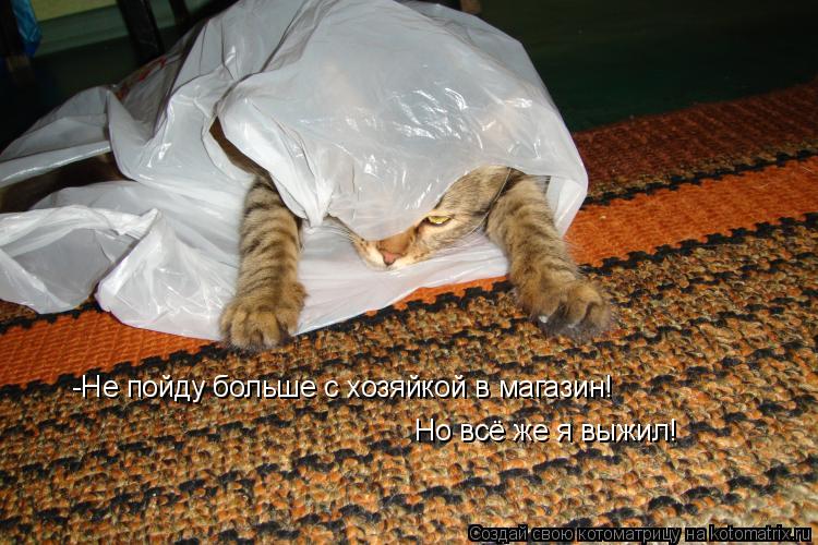 -Не пойду больше с хозяйкой в магазин! Но всё же я выжил!... Котоматрица: -Не пойду больше с хозяйкой в магазин! Но всё же я выжил!
