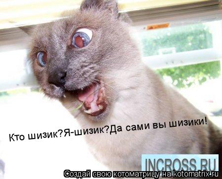 Кто шизик?Я-шизик?Да сами вы шизики!... Котоматрица: Кто шизик?Я-шизик?Да сами вы шизики!
