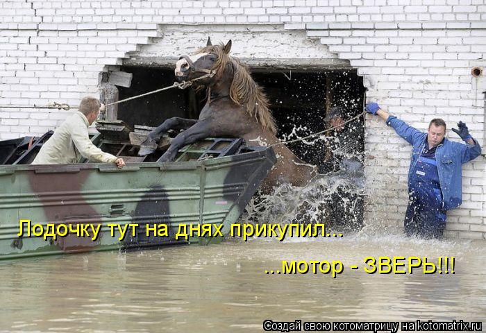 Котоматрица: Лодочку тут на днях прикупил... ...мотор - ЗВЕРЬ!!!