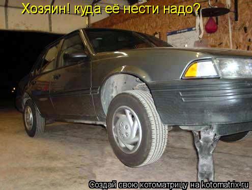 Хозяин! куда её нести надо?... Котоматрица: Хозяин! куда её нести надо?