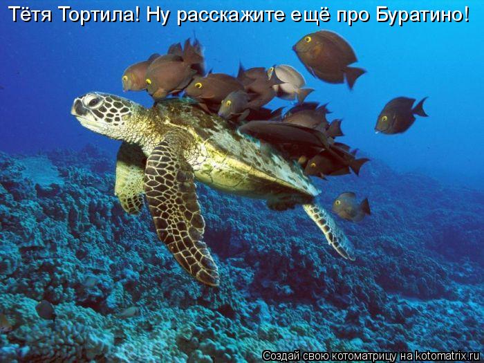 Котоматрица: Тётя Тортила! Ну расскажите ещё про Буратино!