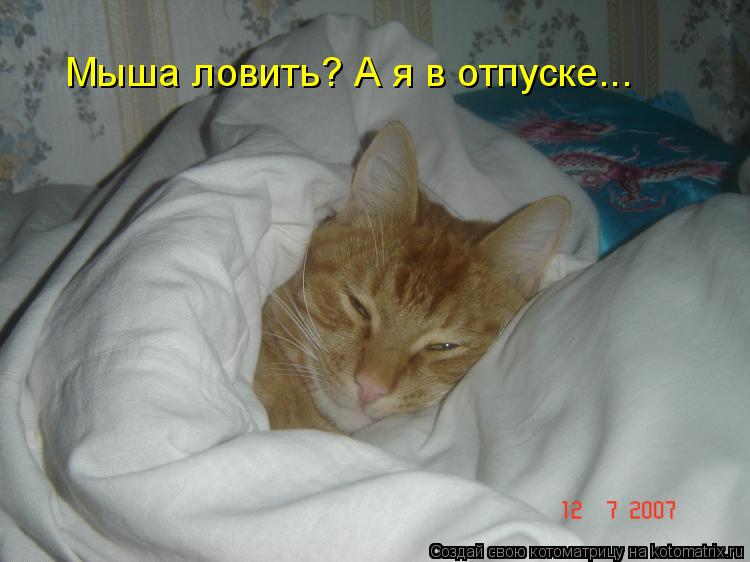 Мыша ловить? А я в отпуске...... Котоматрица: Мыша ловить? А я в отпуске...