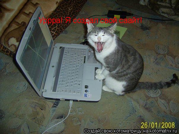 Уррра! Я создал свой саайт!... Котоматрица: Уррра! Я создал свой саайт!