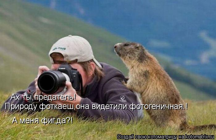 Ах,ты,неблогодарный,природу фоткаеш,она видетили фотогеничная! Ах ты,предатель! Природу фоткаеш,она в... Котоматрица: Ах,ты,неблогодарный,природу фоткаеш,она видетили фотогеничная! Ах ты,предатель! Природу фоткаеш,она видетили фотогеничная.! А меня фиг,да?!